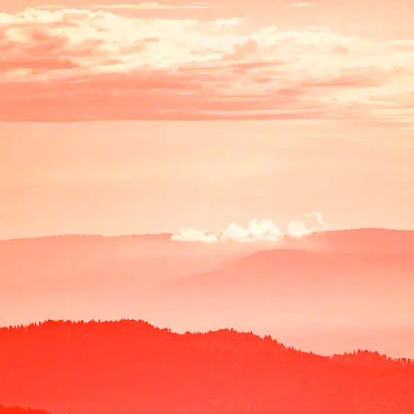 Hintergrundbild für Wachstum